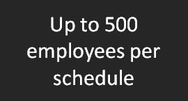 Up to 500 employees per planning